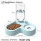 Angle view of the pet feeder twin bowl base with raised food and water wells for cats and dogs