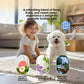 Fragrance notes panel with a child and a white dog beside grapefruit, jasmine and cedarwood images
