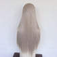 Back view of a long straight ash gray synthetic wig on a mannequin against a plain wall