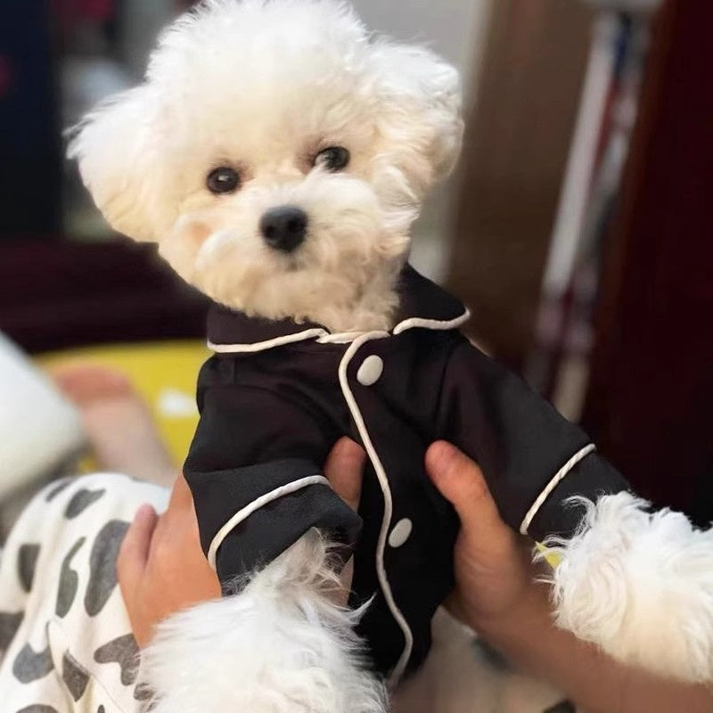 White bichon puppy held up wearing the black pet pajama shirt with white piping and front buttons