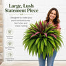 Persian Fern and Dracaena / 72 Heads