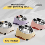 Stainless steel cat bowl in a tilted coloured stand with non slip feet