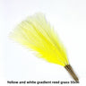 Yellow-White Gradient 10pcs