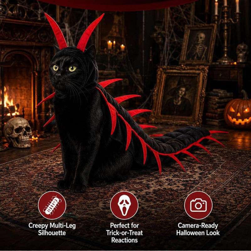 Black cat sitting in a centipede costume with a red antennae hood and red legs beside three Halloween icons
