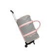 Pink Stripe