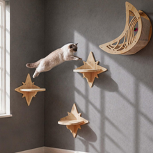 Star and Moon Wooden Cat Wall Shelf and Bed