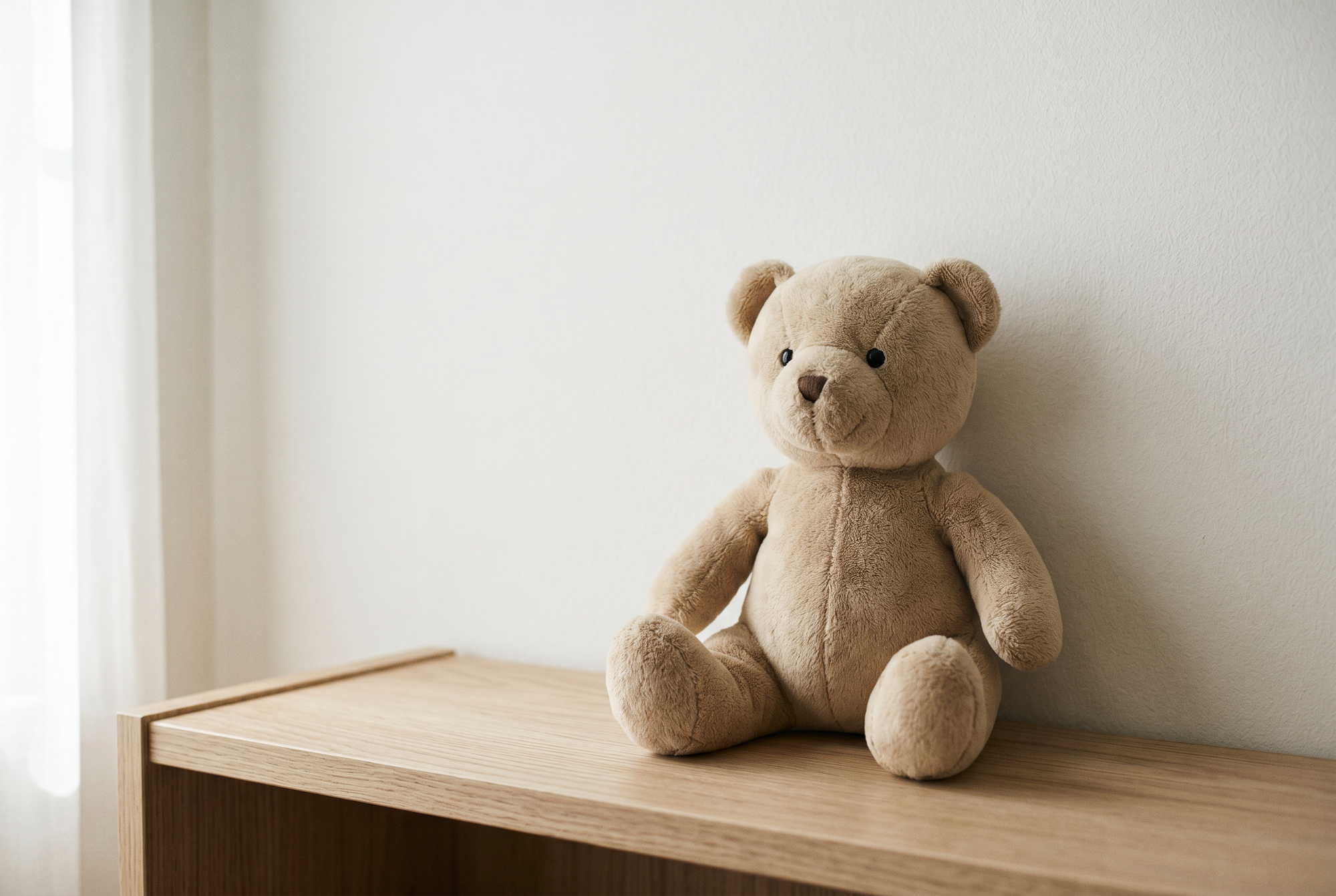 plush-teddy-bear-kids-friendly before problem editorial