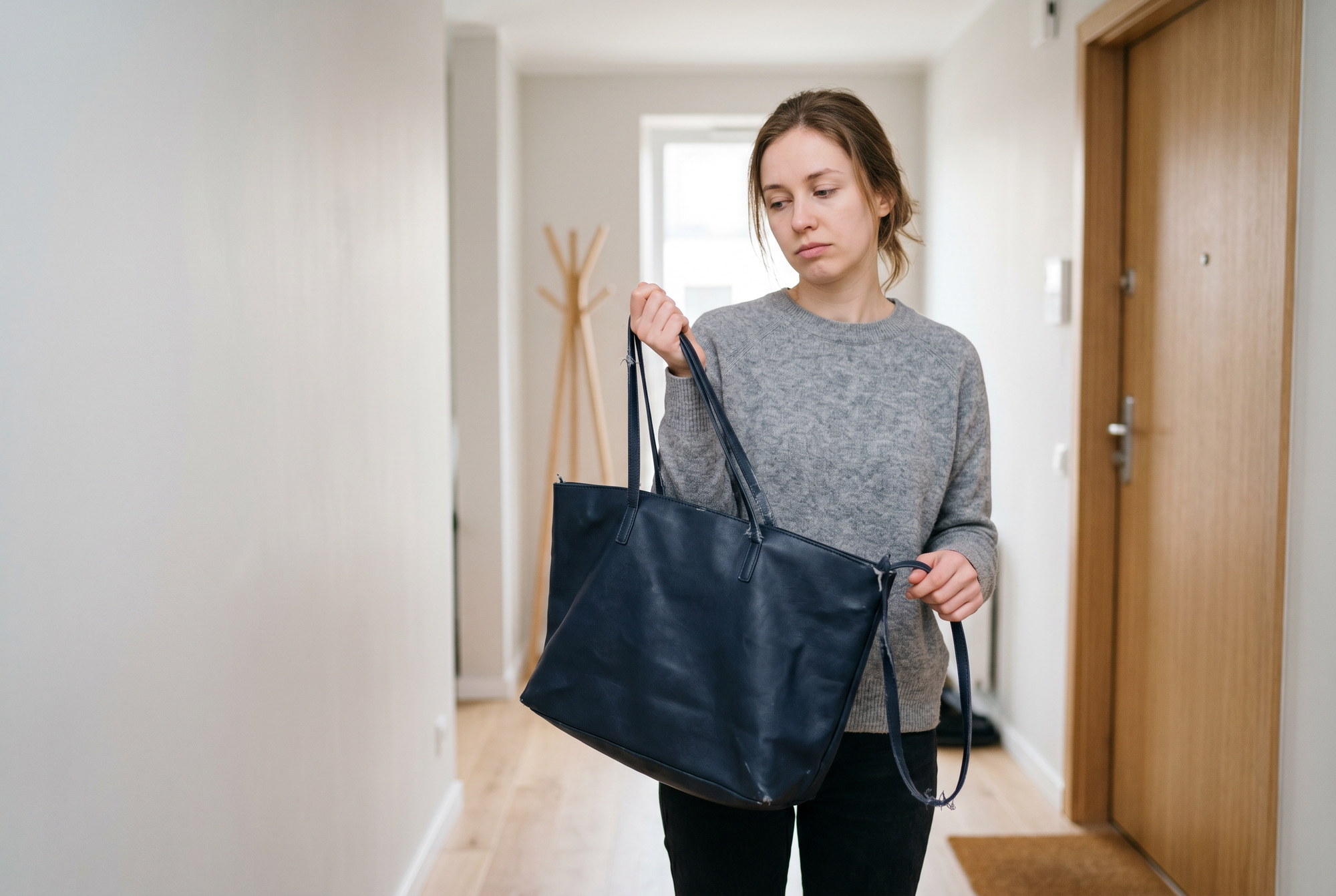 soft-cowhide-tote-bag-women-s-tote-bag before problem editorial