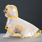 Small white dog seated in a clear EVA hooded rain poncho with golden yellow trim, studio seated pose
