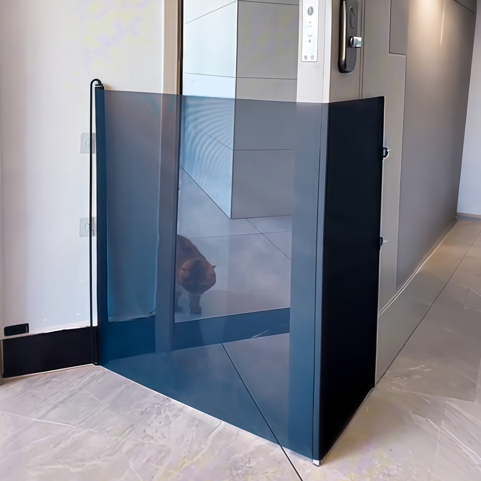 Dark retractable pet gate pulled across a hallway with a cat standing on the far side of the panel