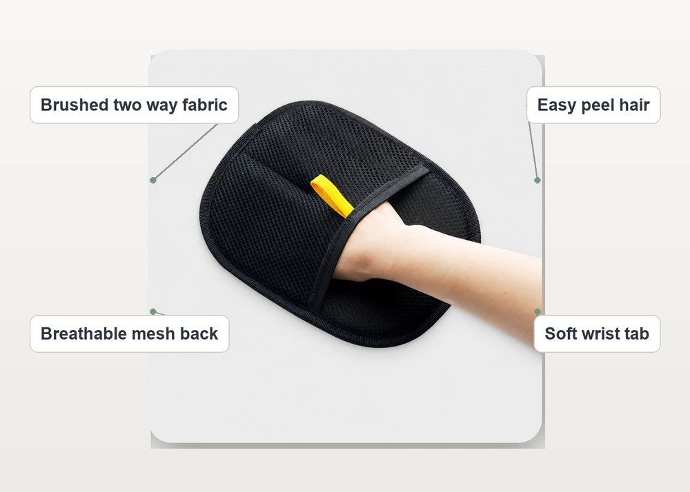 Sofas, Clothes, Car Seats