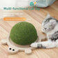 Turtle Shape Sisal Cat Scratching Board Toy