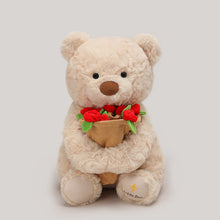 Plüsch-Teddybär