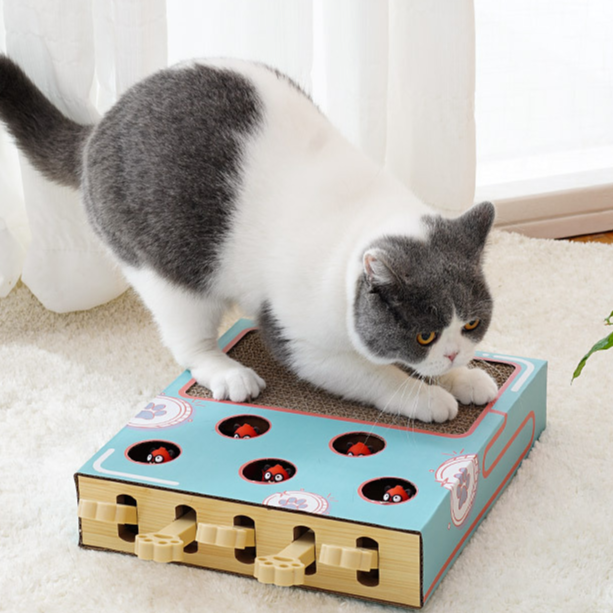 Grey and white cat crouched over the groundhog cat toy holes ready to bat a pop up head