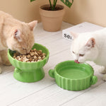 Two cats at a green scalloped ceramic raised bowl and low water bowl, a styled scene not among the listed designs