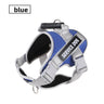 Explosion-proof chest harness blue / M-within 14-25kg