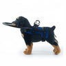 Detachable Blue / M | 33 cm ring, 11 to 18 kg