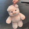 Kleines duftendes Schweinchen, rosa huhu