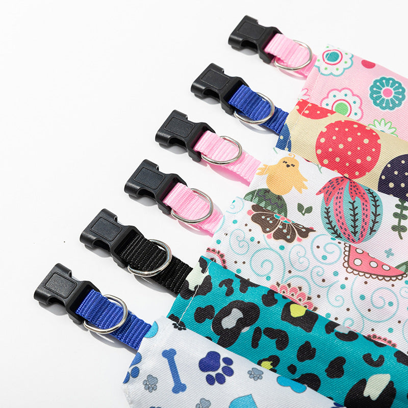 Close-up of quick-release buckles and D-rings on pet bandana collars