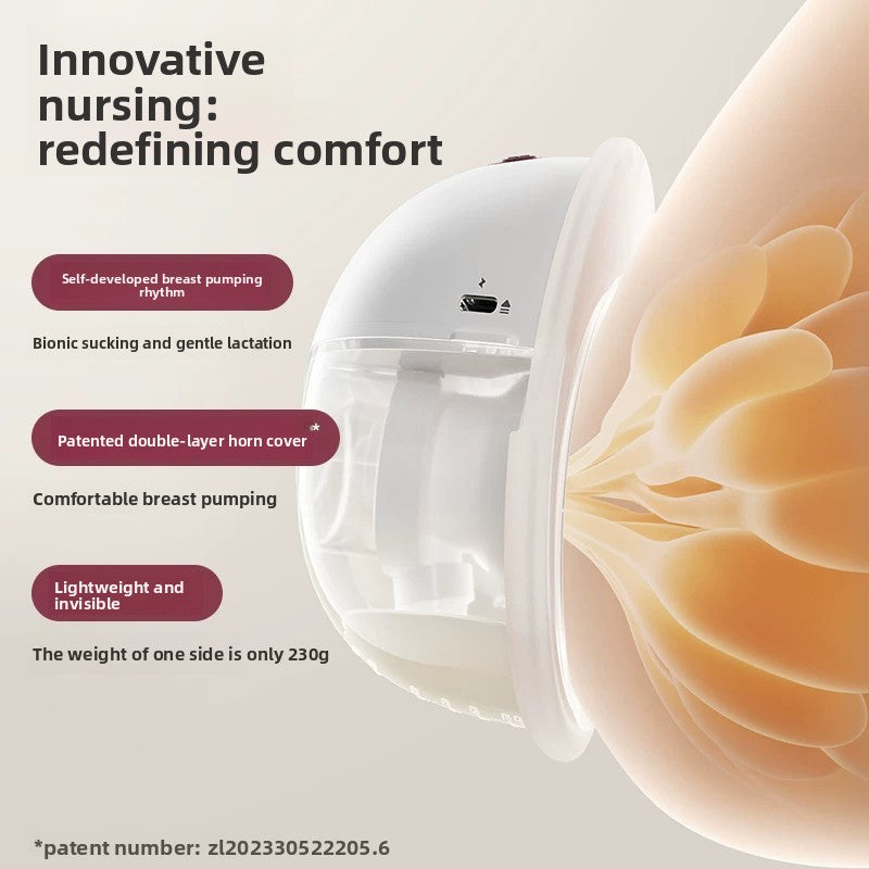 Maker panel showing the pump shell in profile with an illustration and caption text