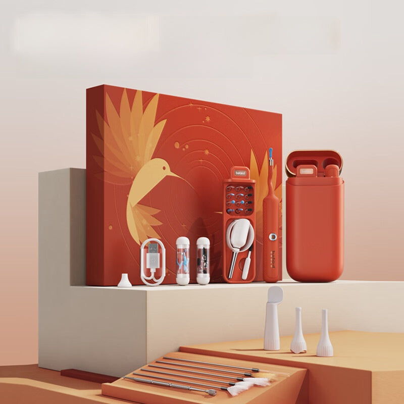 Bebird visual ear cleaner gift box with wand, magnetic case, silicone tips, USB cable and scoops