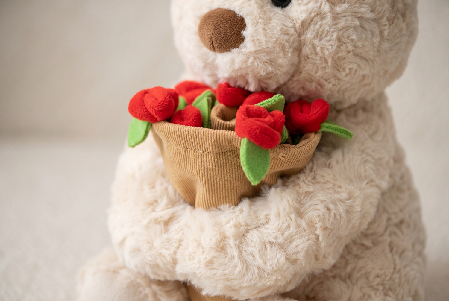 plush-teddy-bear-kids-friendly functional close up