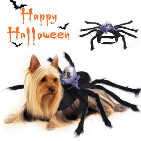 Halloween Spider Pet Costume for Cats and Dogs