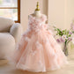 Girls Princess Performance Dress