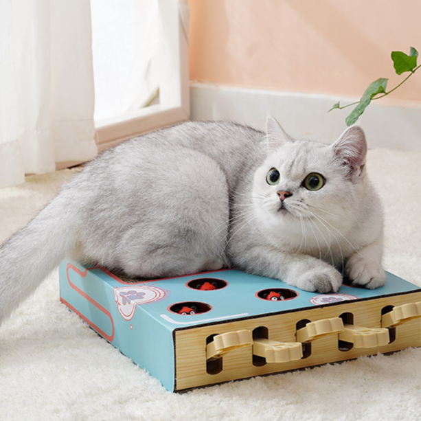 Corrugated groundhog cat toy box with red pop up figures in the holes and paw shaped levers on the side