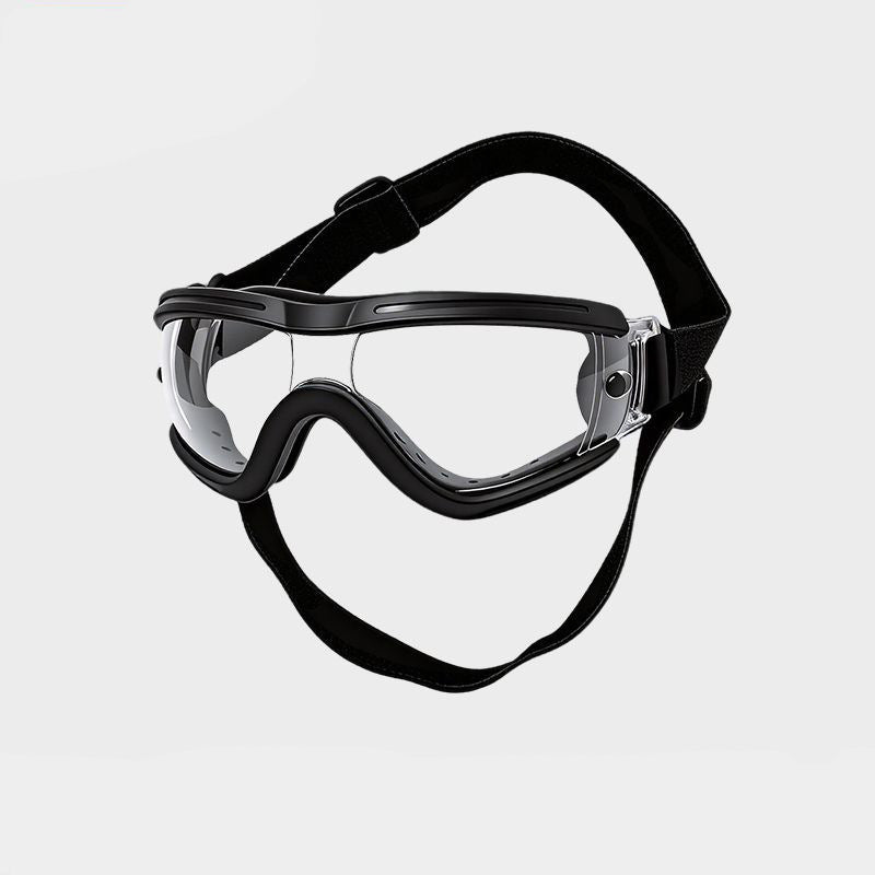 Dog wearing protective goggles on a walk to shield eyes from wind and dust