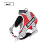 Explosion-proof chest harness red