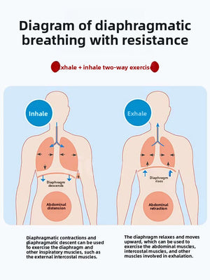 Diagram of two torso outlines with arrows around the chest and abdomen showing inhale on one side and exhale on the other