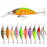 OPP bag ten color set