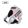 Explosion-proof chest harness pink