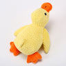 Small Duck
