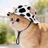 Cow black