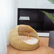 Apricot