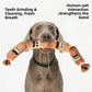 Gray dog holding the four section plush sausage toy in its mouth against a white background