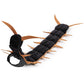 Halloween centipede costume for cats and small dogs with adjustable belly straps