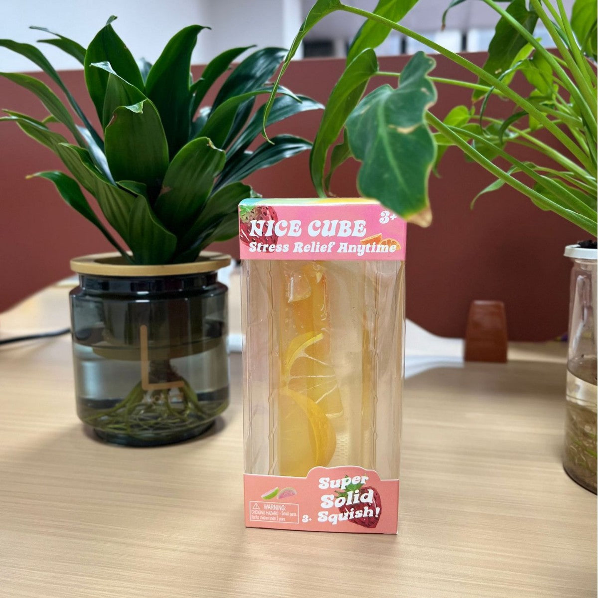 Fruit ice cube squishy bar with cantaloupe style fruit suspended inside