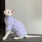 Lavender striped cat shirt with a raised collar worn by a seated hairless cat, side view