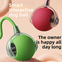 Motorised Rolling Cat Ball with Rope, Plush and Hop Versions