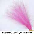 Rose Red 10pcs