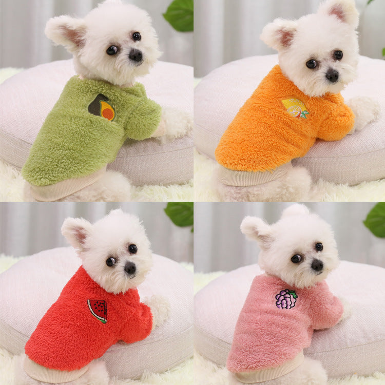 Four small dogs in plush fruit patch sweaters in green, orange, red and pink, shown in a 2 by 2 collage