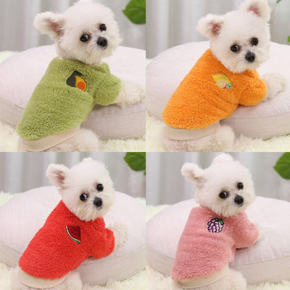 Four small dogs in plush fruit patch sweaters in green, orange, red and pink, shown in a 2 by 2 collage