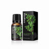 Eucalyptus Essential Oil 10ml