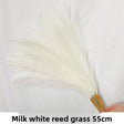 Cream White 10pcs