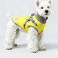 Small and medium-sized dog coats with added insulation for warmth