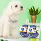 White dog wearing the light adjustable pet collar around the neck
