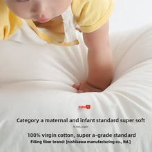 Cotton Ticking Bed Pillow 48x74 cm, Six Loft Options